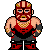 wrestlervader